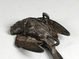 a bird that is sitting on top of a piece of wood