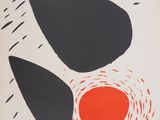 an image of a book cover with a black and red design on it