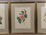 Trois tableaux représentant des fleurs sont accrochés au mur.