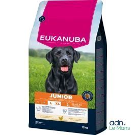 Aliments pour chiens de grande race Eukanuba Junior