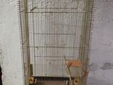 a bird cage with a bird inside of it