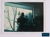 une photo d'une photo représentant un oiseau perché sur un rebord de fenêtre