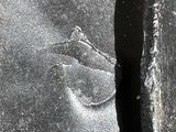 a close up of a rock with a bird on it