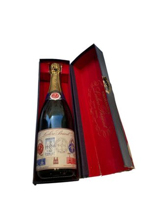 a bottle of wine in a box with a red cover