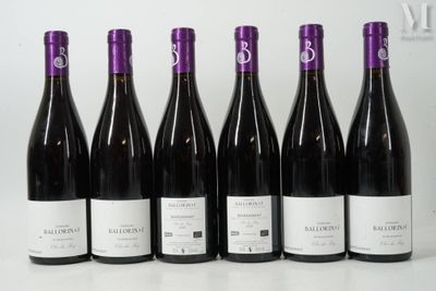 six bouteilles de vin sont alignées sur une table