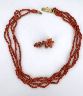 an image of a necklace and earring set with coral beads