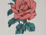 drawing of a rose with a bug on it ' s stem