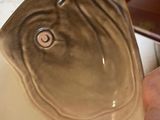 a person that is holding a bowl with a fish face on it