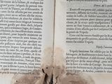two pages of an old book with torn pages on them