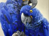 tableau représentant deux perroquets bleus perchés sur une branche devant un fond blanc