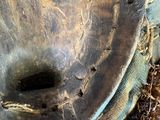 a close up of a baseball glove with a hole in it