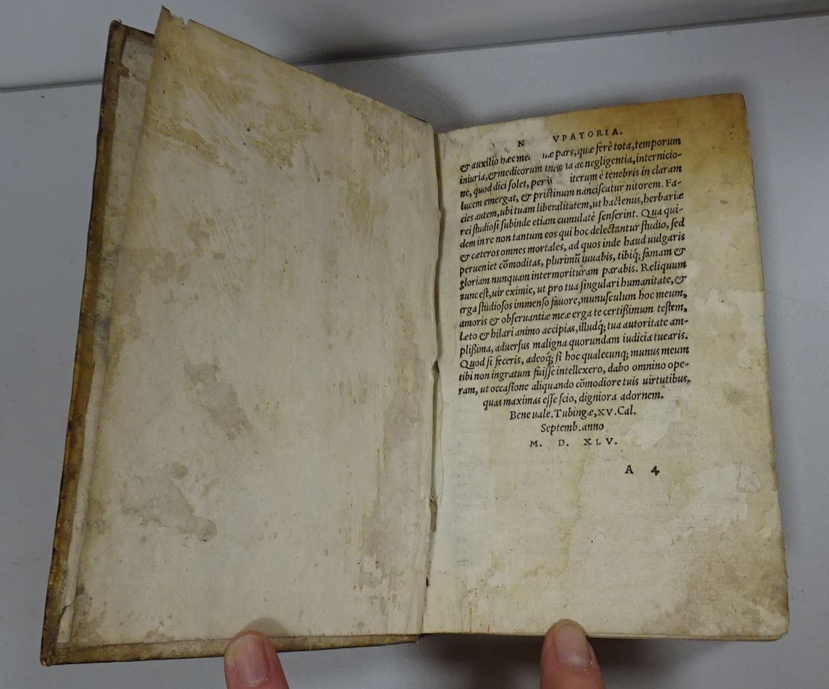 Leonhart FUCHS. Médecin botaniste allemand.