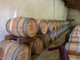 many wine barrels lined up in a row in a cellar