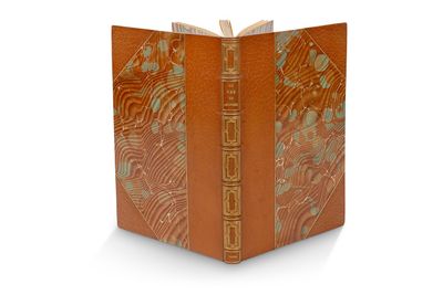 l'image d'un livre à la couverture marron sur fond blanc