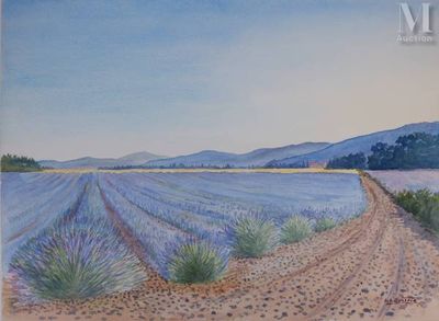 painting of a lavender field with a dirt road in the foreground