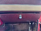 a close up of a red car door handle