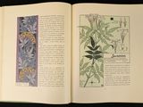 a book open to a page with a picture of a plant on it