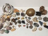 beaucoup de coquillages et d'autres objets sur la table