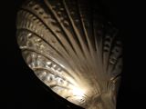 a close up of a spoon with a light shining on it