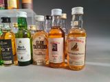 many different types of alcohol bottles lined up on a table