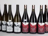 six bouteilles de vin sont alignées sur une surface blanche