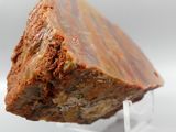 close up of a piece of rock on a clear stand