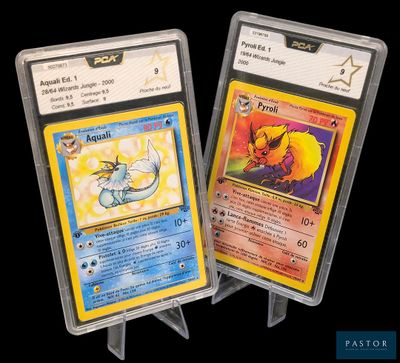 Deux cartes Pokémon sont présentées dans des pochettes en plastique sur un fond noir.