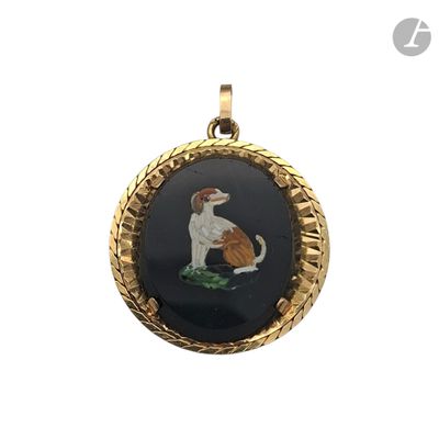 une photo d'une photo représentant un chien sur fond noir