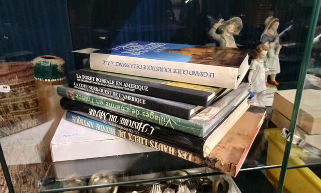 Lot de 6 livres de voyage, France Amérique et monde antique
