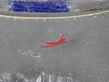 a red object floating in the water on the beach