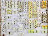 many different types of butterflies displayed in a display case