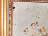 a picture of a picture of a flower in a gold frame