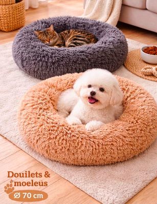 two dogs and a cat are laying in their beds on the floor