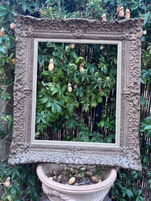 un miroir posé sur une plante en pot