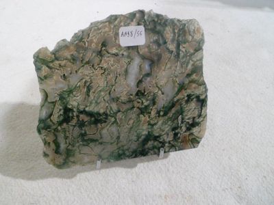 a rock with a tag on it sitting on a white surface