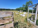 une clôture en bois qui longe un champ d'herbe