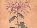 an image of a painting of a flower with leaves on it