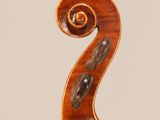 a close up of the back of a violin