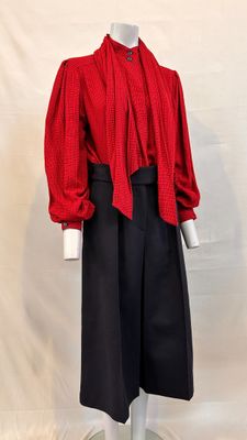 an image of a mannequin wearing a red shirt and black skirt