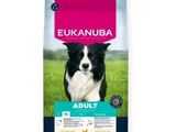 Alimentation Eukanuba pour chiens adultes de grande race