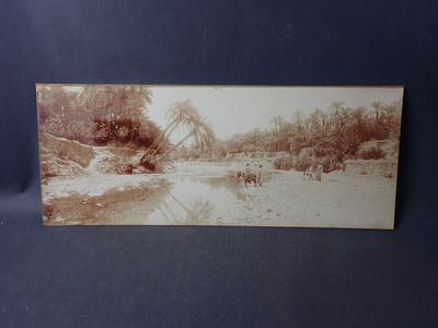 Une photographie, collée sur carton, de paysage oriental ani…