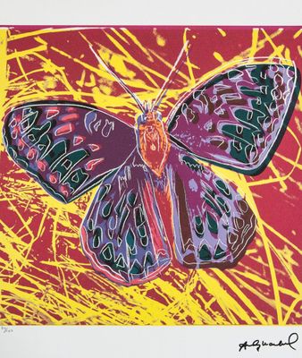 une image représentant un papillon coloré sur un fond rouge et jaune