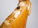 a close up of a horse head on a white background