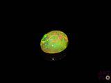 an oplite in the dark with a black background