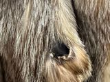 Photo 6/15 du lot