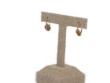 a close up of a pair of earrings on a display stand