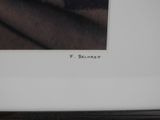 an image of a picture of a cat sitting on top of a bed