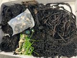 une boîte pleine de vers qui se trouvent dans la terre
