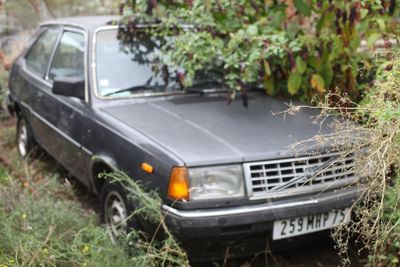 a car that is parked in the grass near a tree