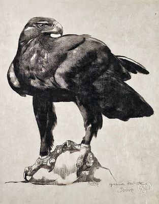 Paul JOUVE (1878-1973) Aigle royal. Lithographie originale, …